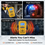 Portable Gas Detector