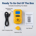 Portable Gas Detector